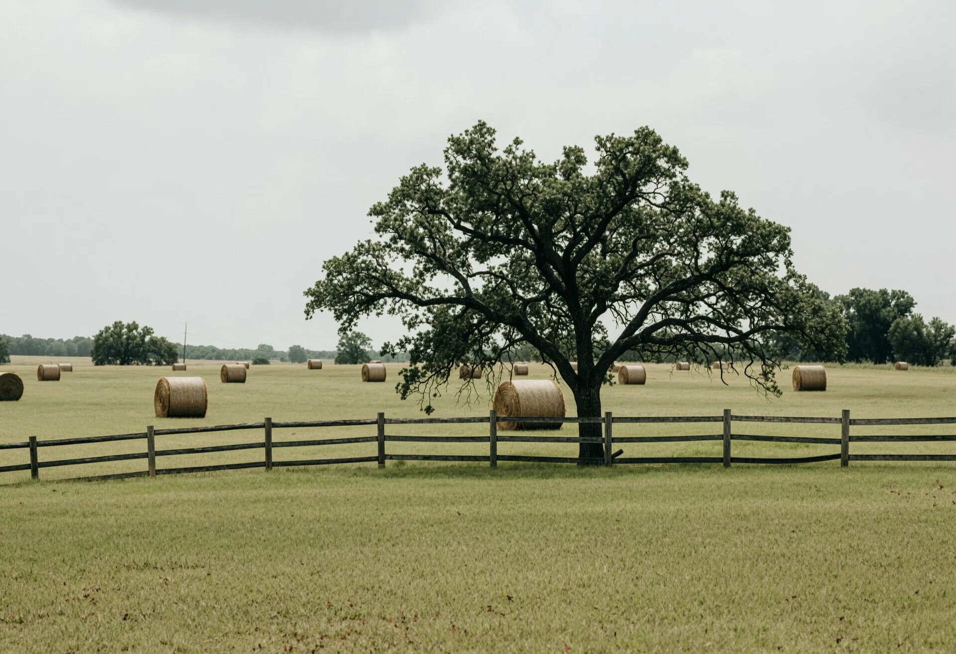 Rolling pasture with hay bales, a lone oak and a split rail fence in West Georgia farm country. Illustrative scenery, not a job site.